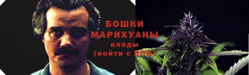 где продают наркотики  Берёзовский  Каннабис Bruce Banner 